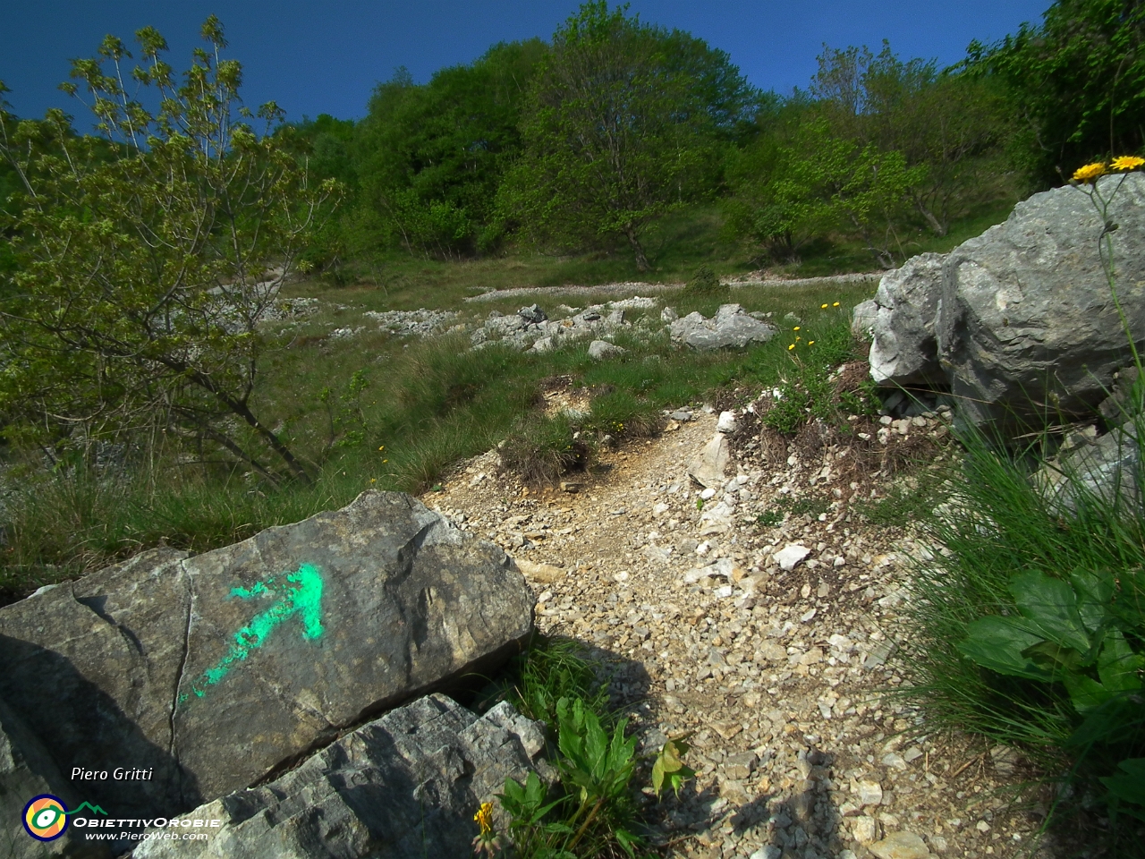 10 seguo i bolli verdi....JPG